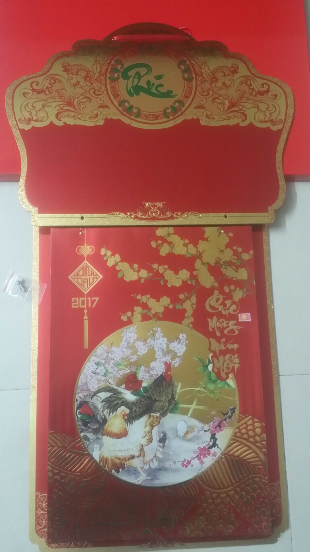 2017-01-17 07.55.31.jpg