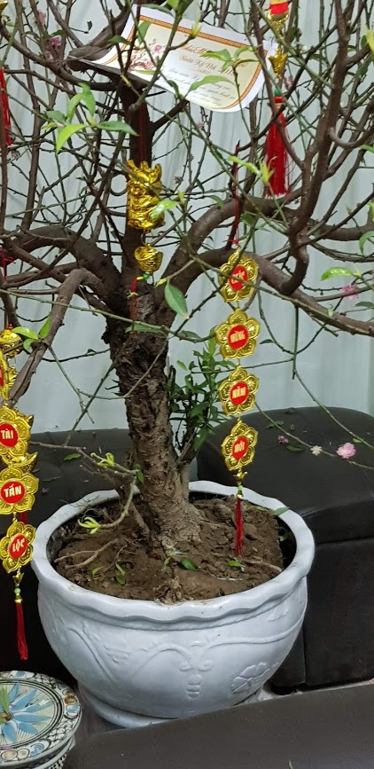 20190215_075216.jpg