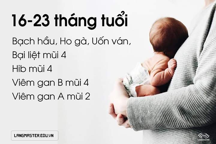 92d3550d643c8362da2d.jpg