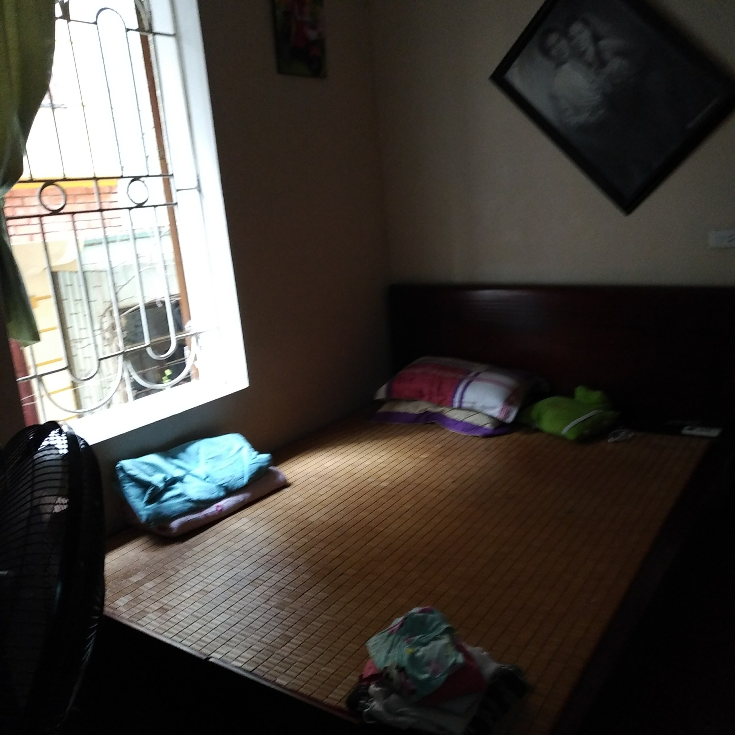 9dde43d085fd64a33dec.jpg