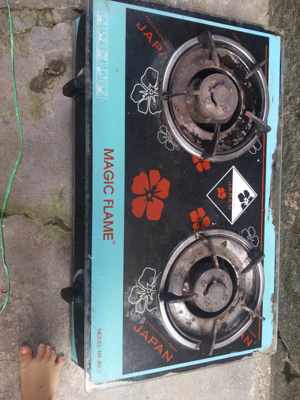 a1fec5448faf47f11ebe.jpg