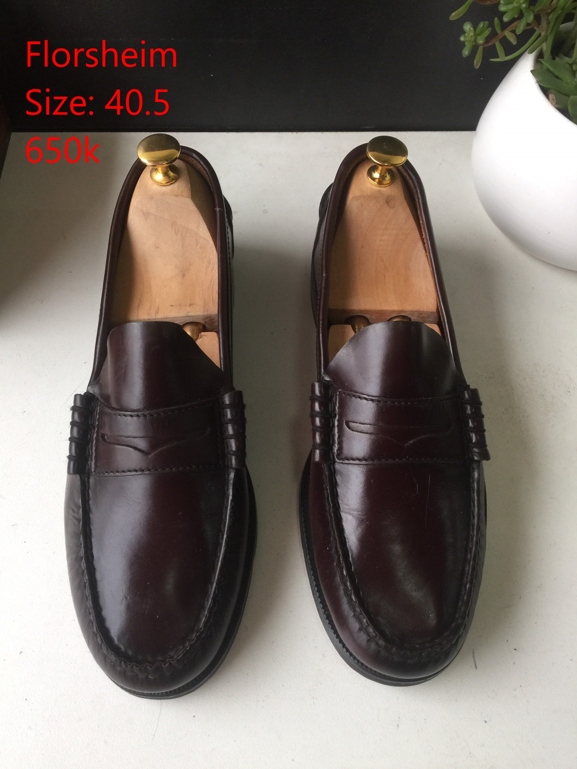 a662db285daea6f0ffbf.jpg