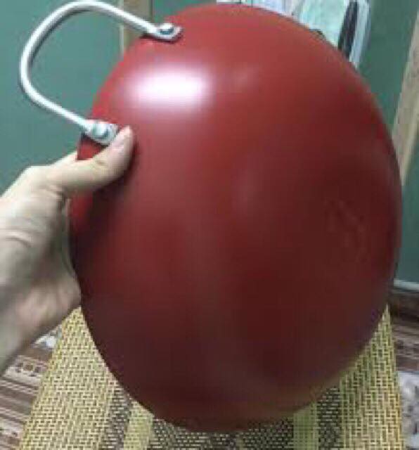 ảnh thật chảo xào.jpg