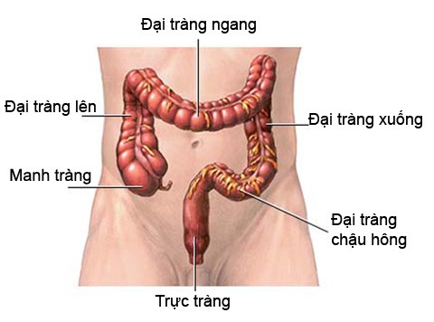 anh1.jpg