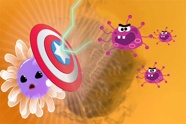 art sức đề kháng.png