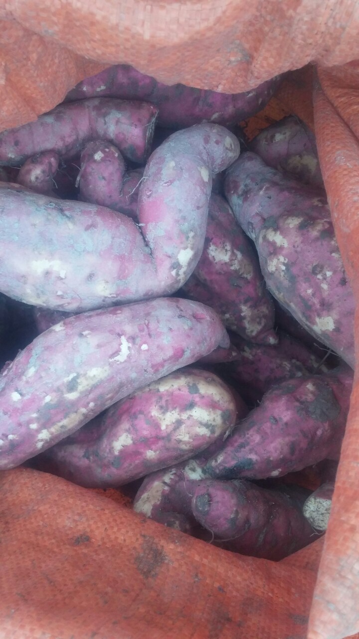 b2d0d2152007ce599716 - Copy.jpg