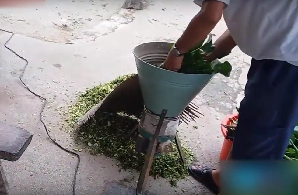 bam-luc-binh-cho-ga-vit-jpg.1126616