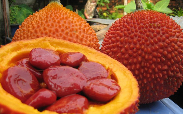 bat-mi-tac-dung-cua-qua-gac-khong-phai-ai-cung-biet.png