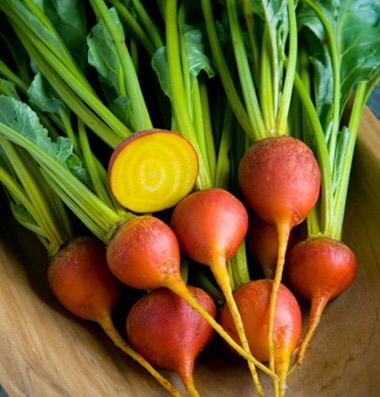 C__Data_Users_DefApps_AppData_INTERNETEXPLORER_Temp_Saved Images_Mi79r0e.jpg