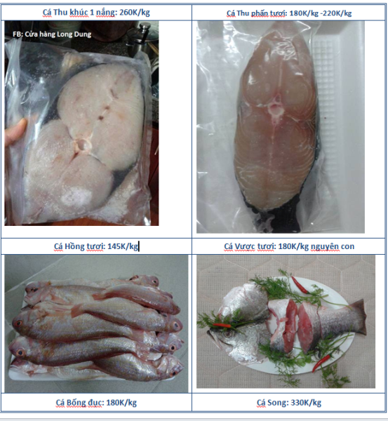 Cá các loại 1.png