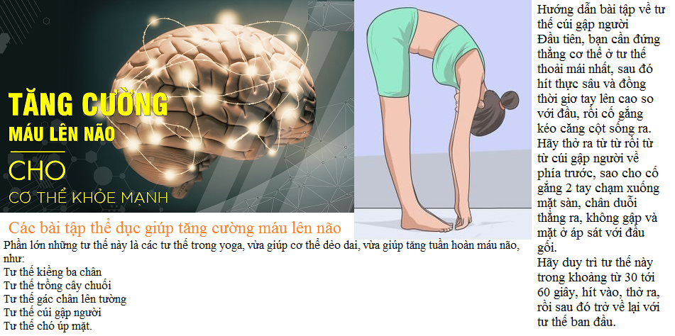 Các bài tập thể dục giúp tăng cường máu lên não1.png