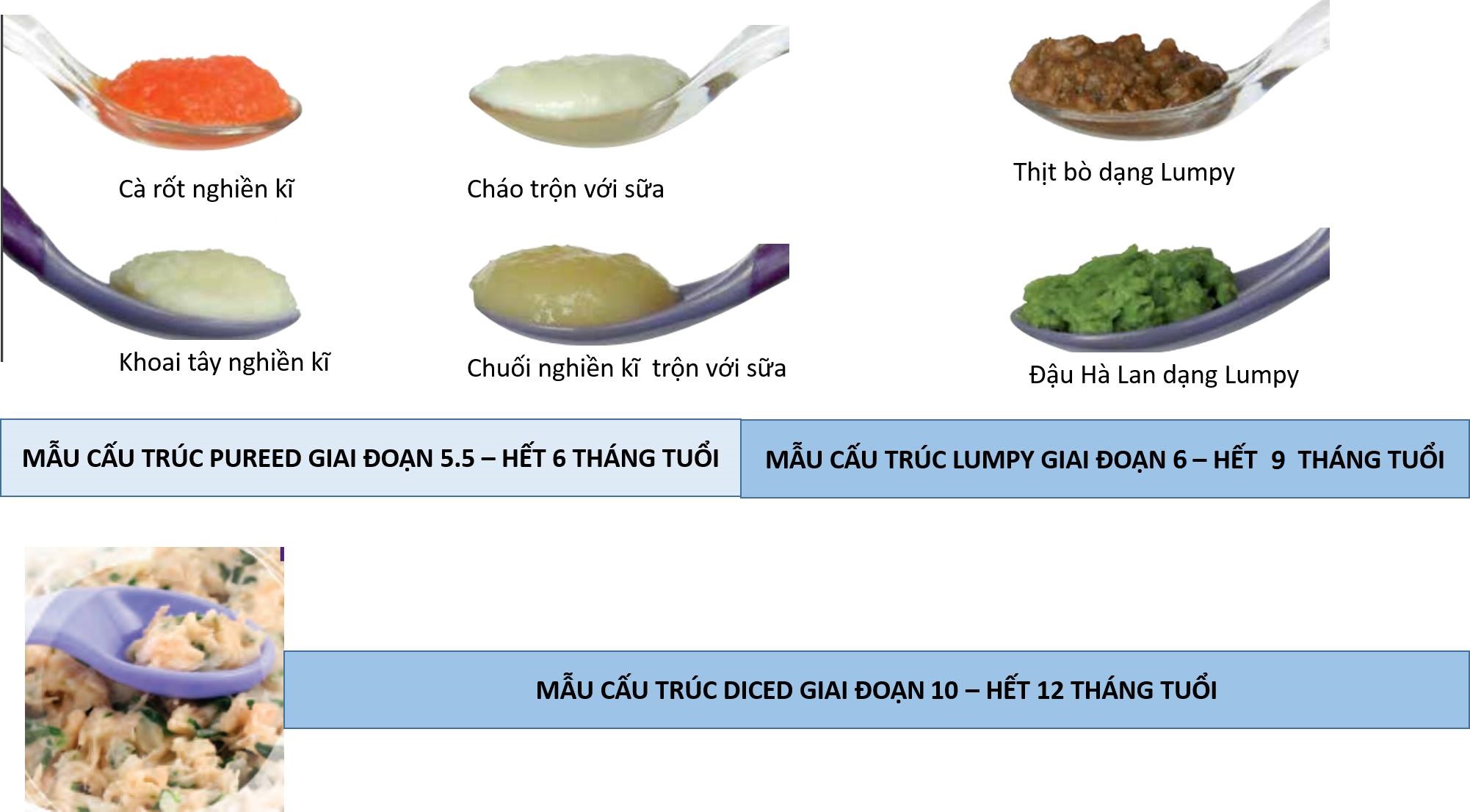 cấu trúc thức ăn.jpg
