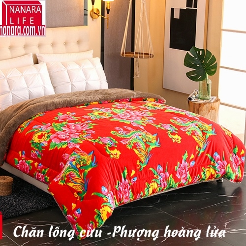 chan-long-cuu-nanara-phuong-hoang-lua.jpg