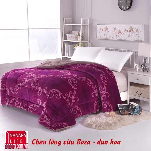 chan-long-cuu-nanara-rosa-dun-hoa.jpg