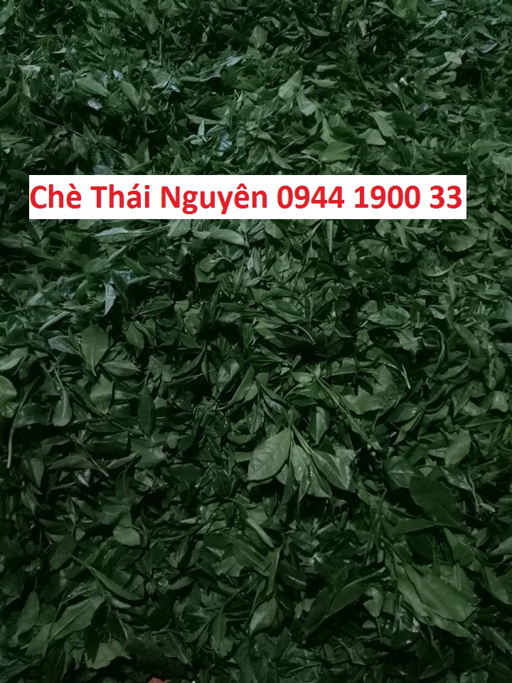 che tan cuong thai nguyen.....jpg
