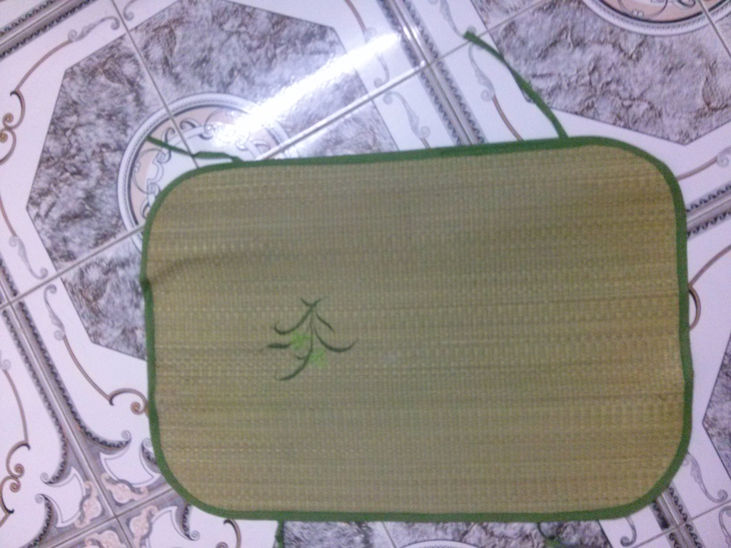CHIẾU CÓI.jpg
