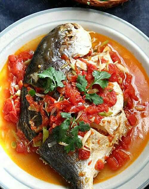 chim vàng anh-1.jpg