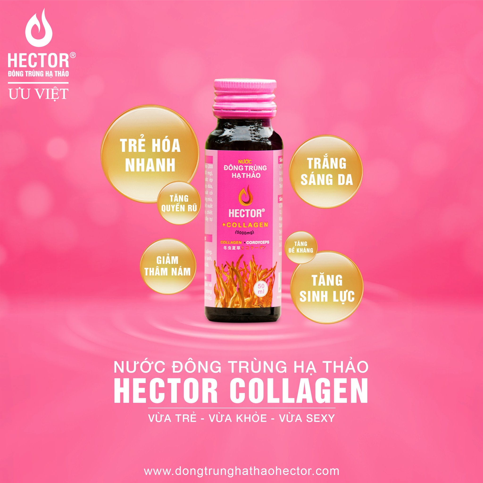 collagen 5.jpg