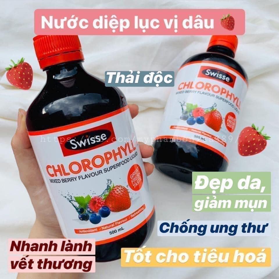 diệp lục4.jpg