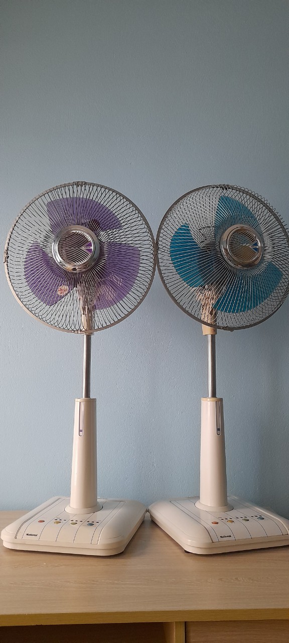 ĐN3.jpg