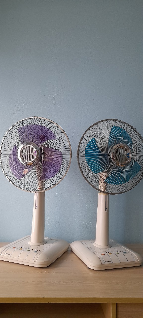 ĐN5.jpg
