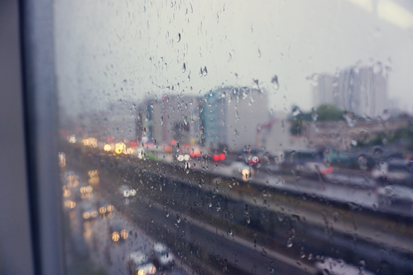 DSC01059.png