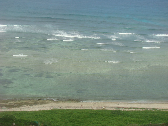 DSC09703.JPG