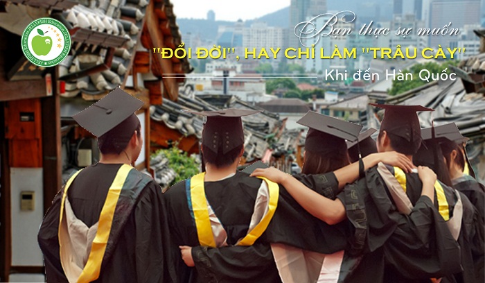 du-hoc-han-quoc.jpg
