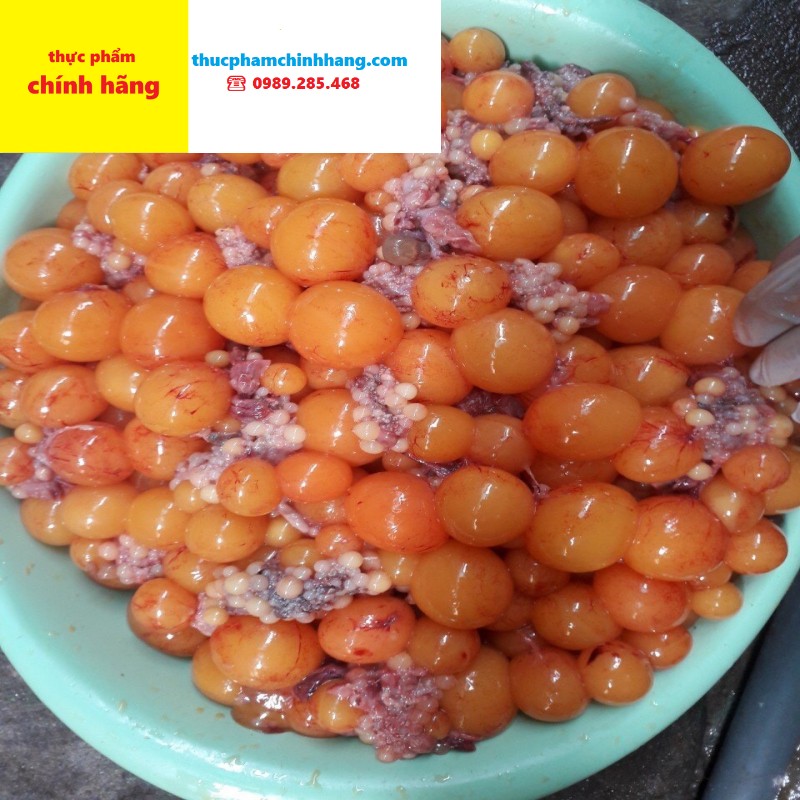 e09c695b622a9874c13b.jpg