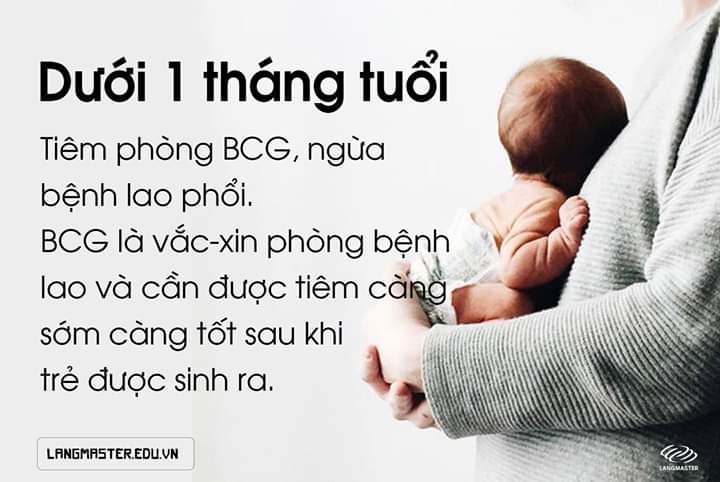 e11c35af049ee3c0ba8f.jpg