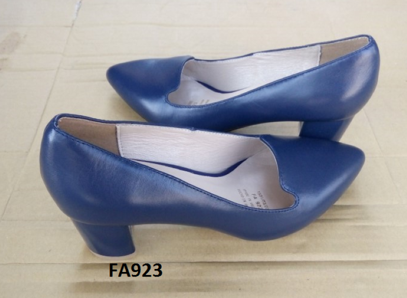 FA923.png