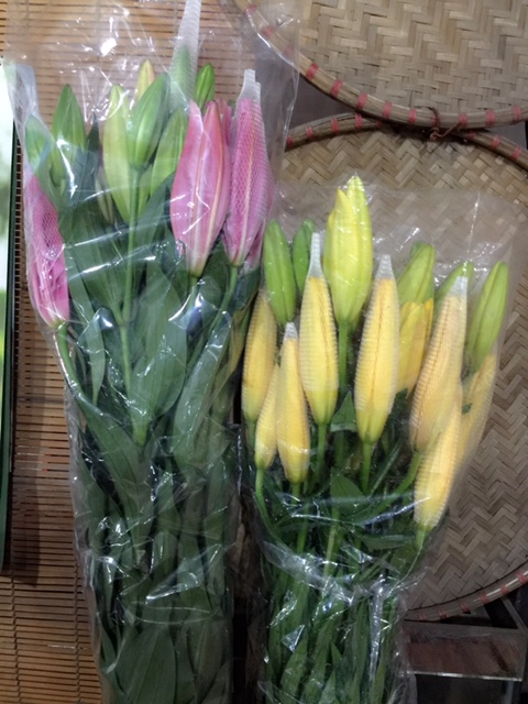 FullSizeRender (4).jpg