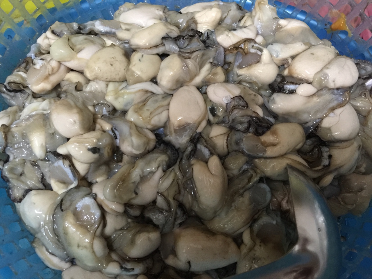hàu.jpg