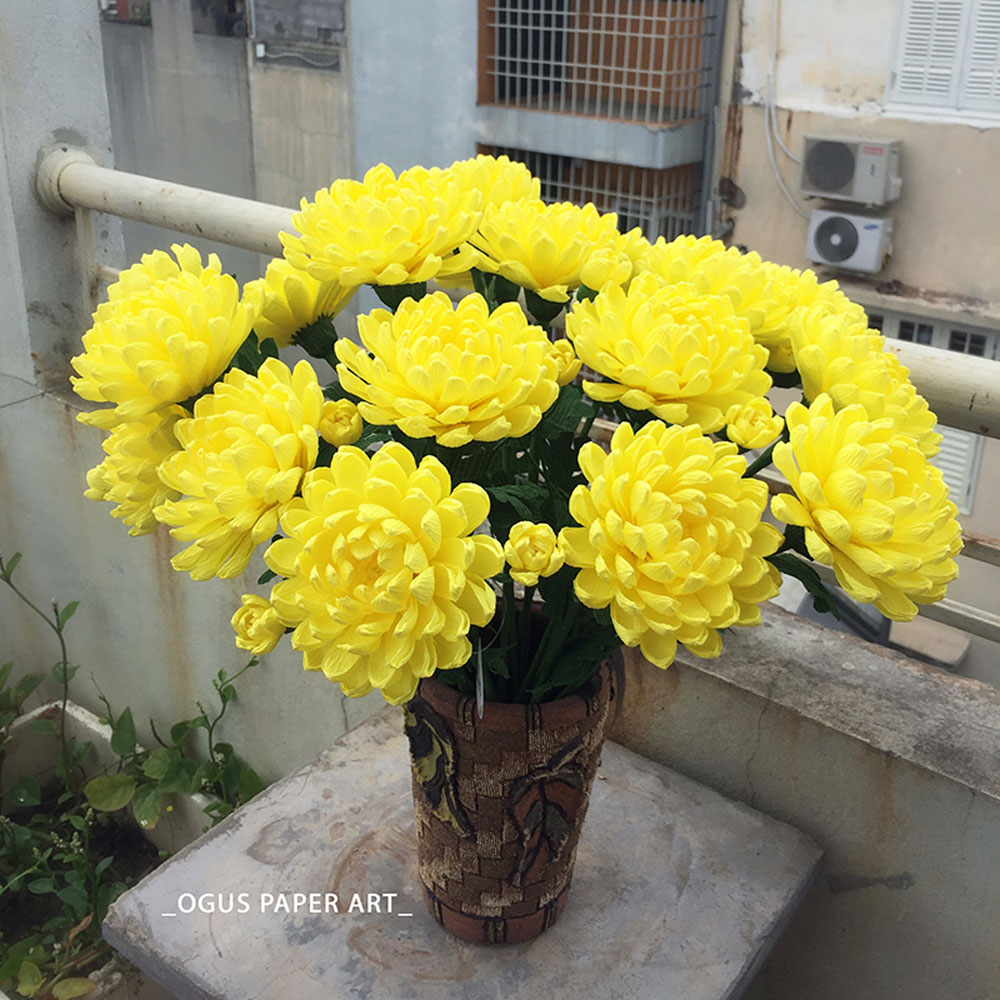 hoa-cúc-OGUS.jpg