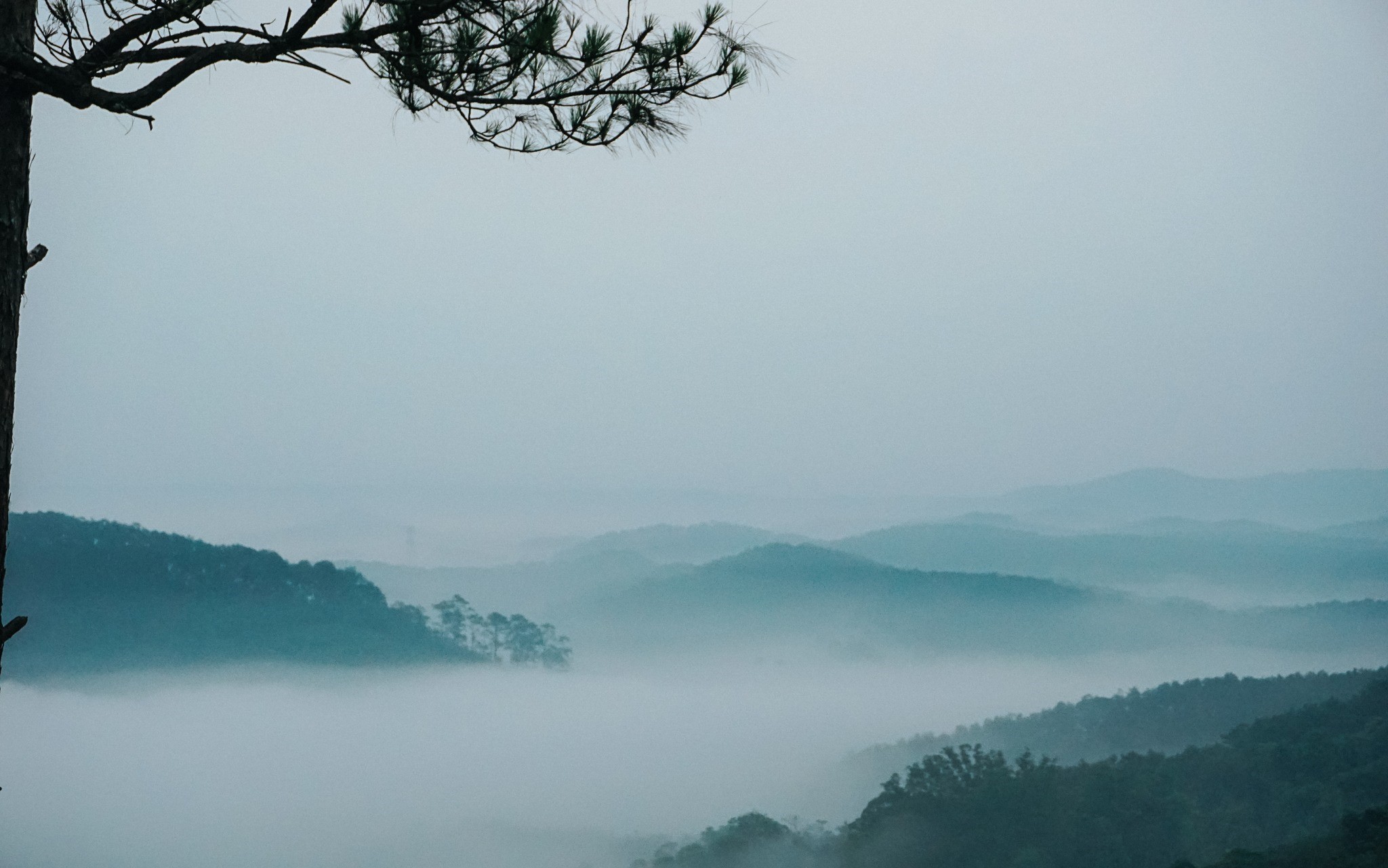 HƯỚNG DẪN ĐI TREKKING SĂN MÂY ĐÈO VIOLAK QUÃNG NGÃI - KON TUM, DU LỊCH MĂNG ĐEN 2 NGÀY 1 ĐÊM.jpg