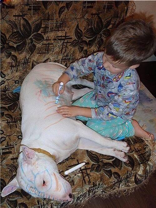 image.jpg
