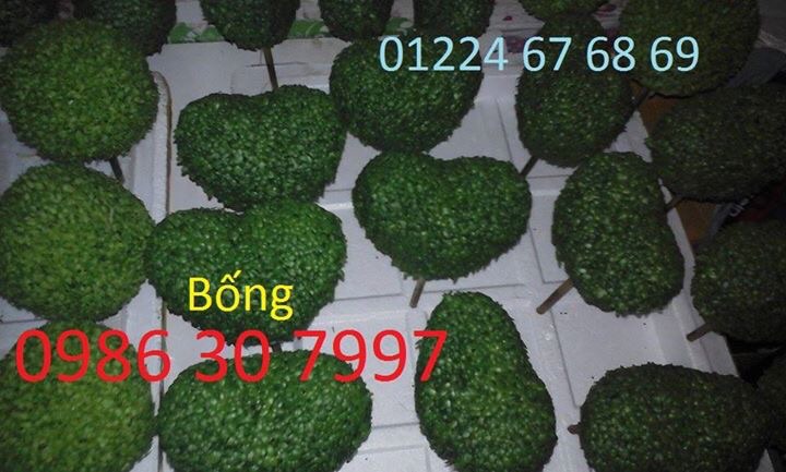 image.jpg