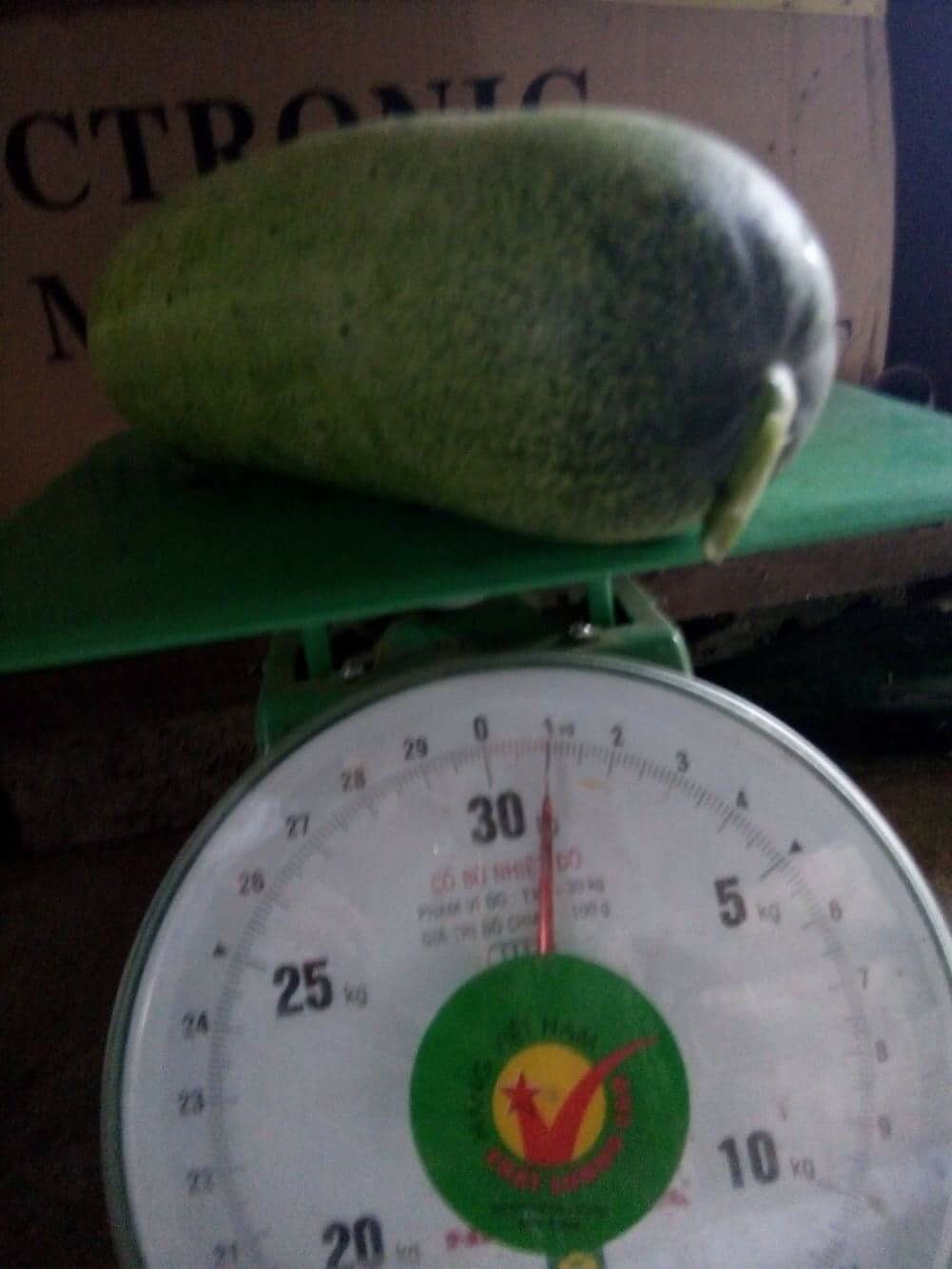 image.jpg