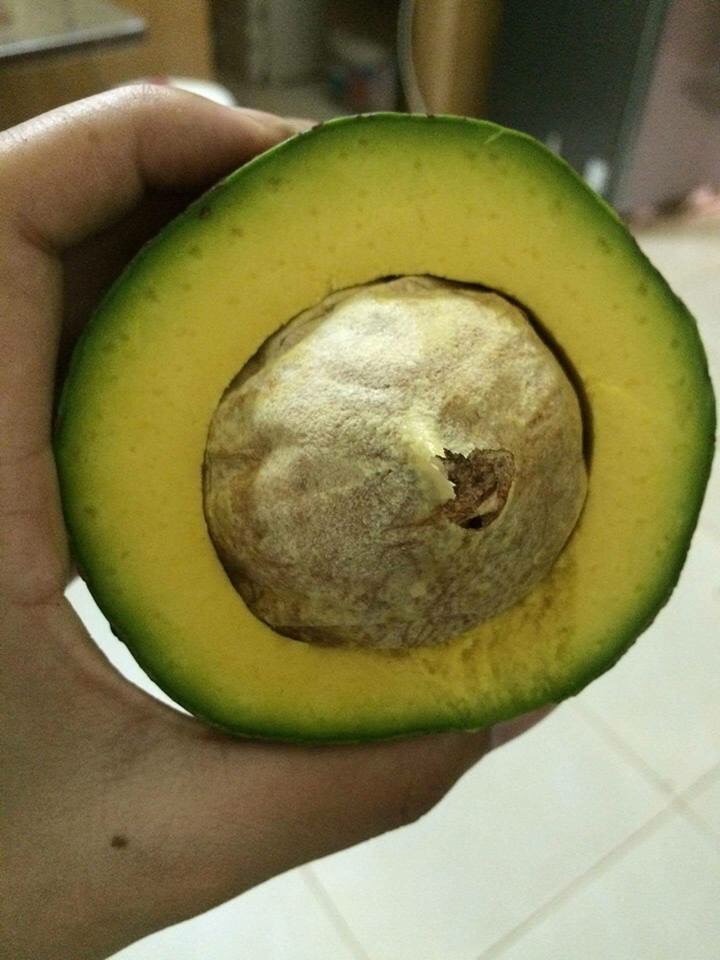 image.jpg