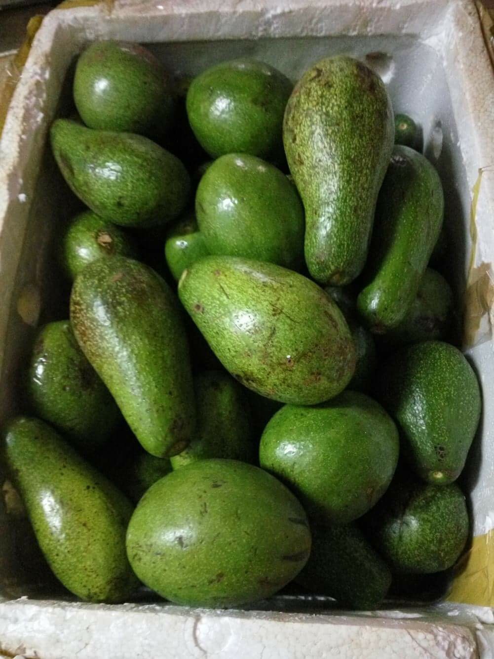 image.jpg