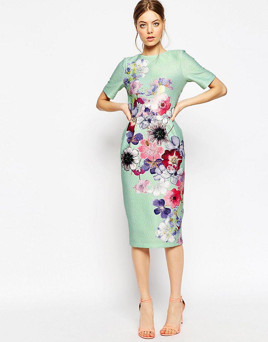 image1xxl.jpg