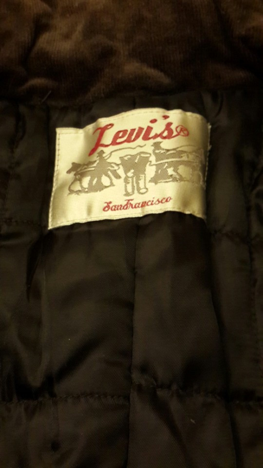 Levis 3.jpg