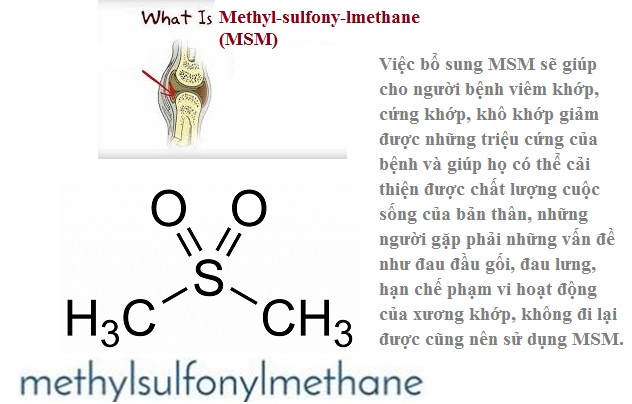Lợi ích của MSM đối với xương khớp-1.jpg