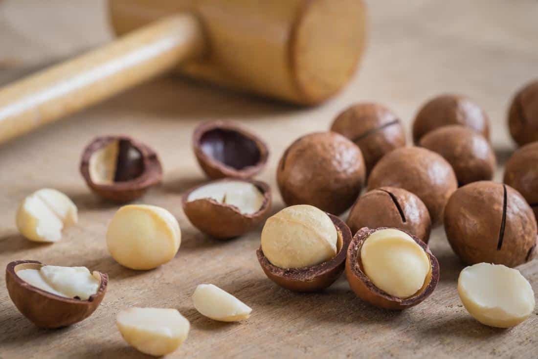 macadamia-nuts-on-a-table.jpg