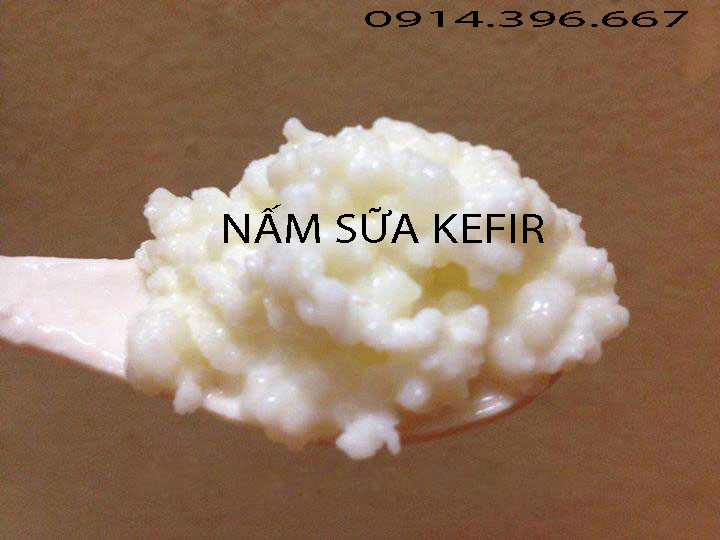 NẤM1.jpg