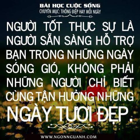ng tot.jpg