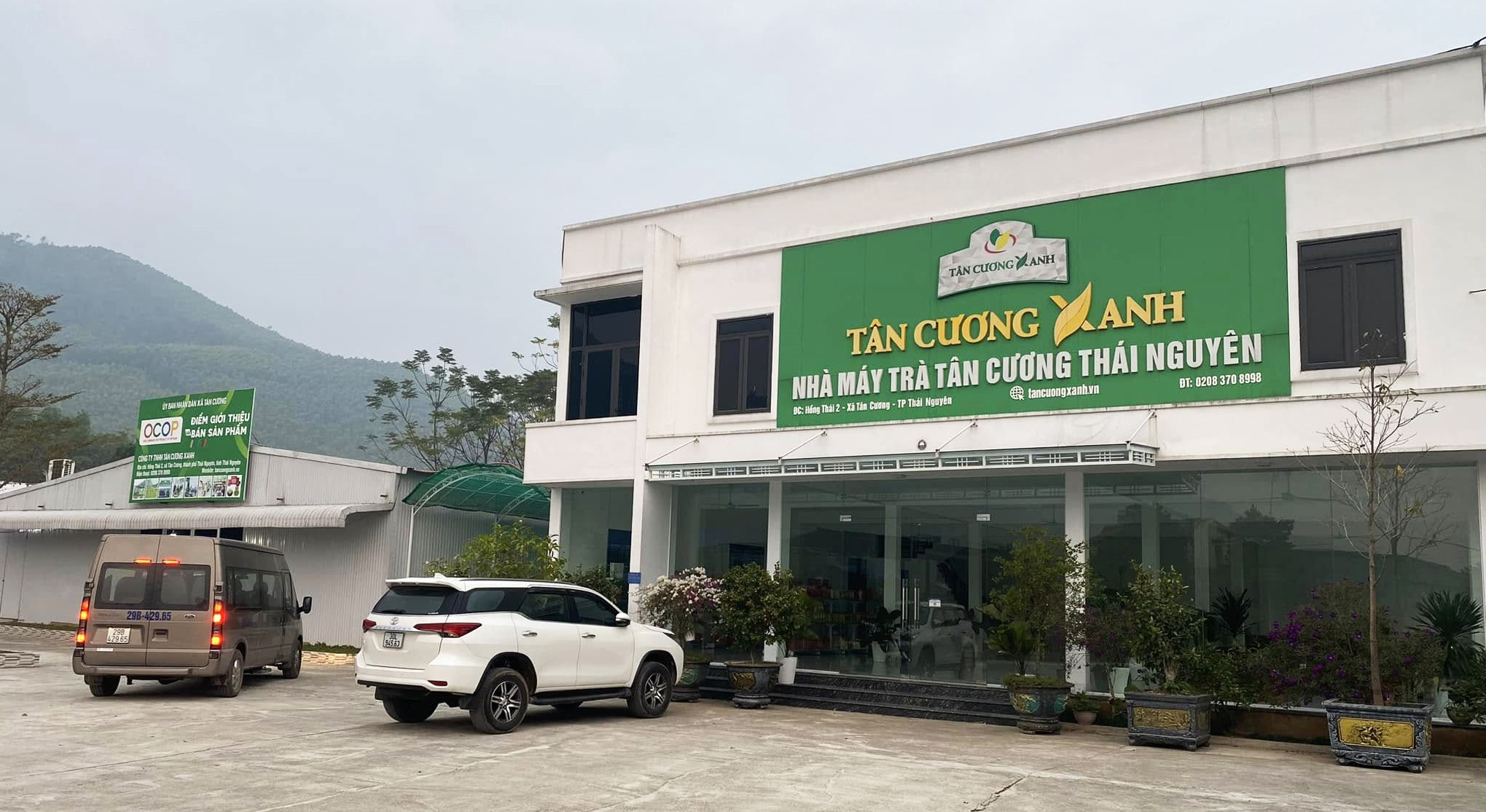 nha may Tan Cuong Xanh san xuat phan phoi tra tan cuong thai nguyen gia goc.jpg