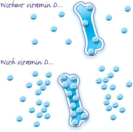 nhung loai thuc pham se giup de dang hon trong su lua chon.jpg