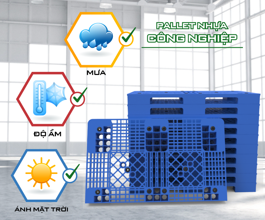 pallet nhua 2.png