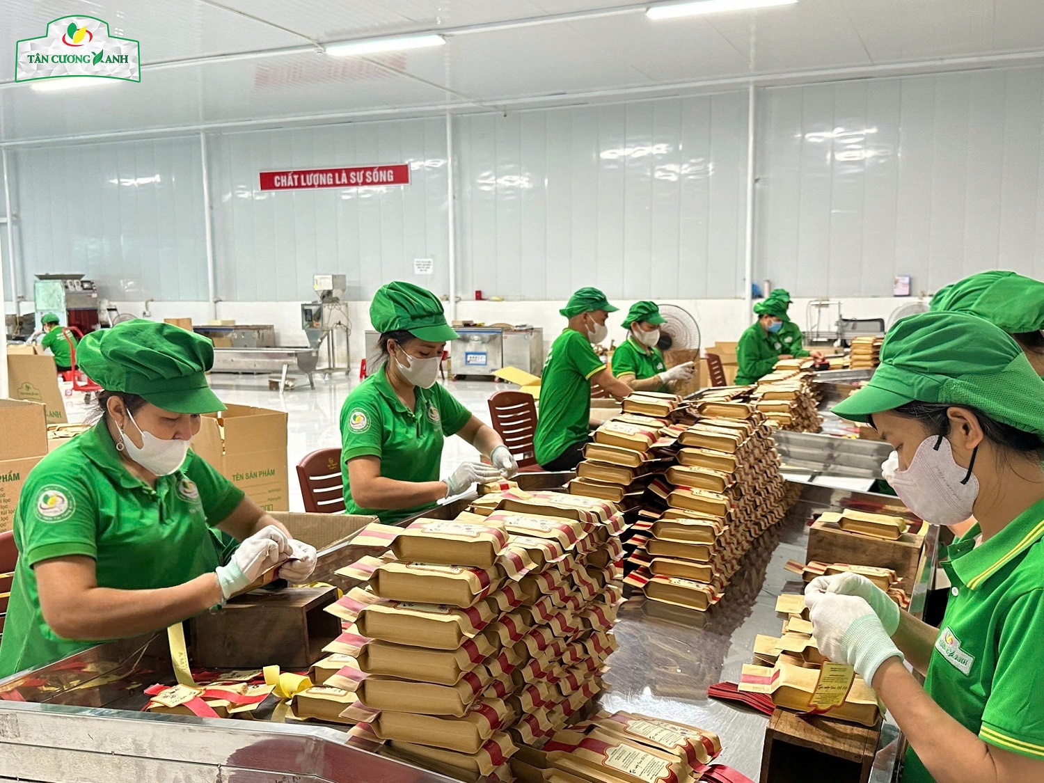 phoi tra tan cuong thai nguyen Tan Cuong Xanh 8.jpg